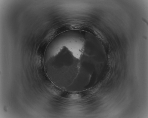 X0000097590169200803071329