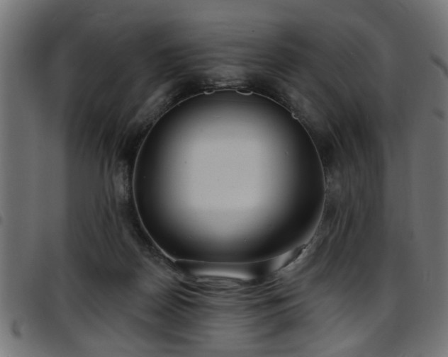 X0000097590170200803071329