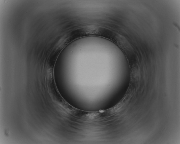 X0000097590172200803071329