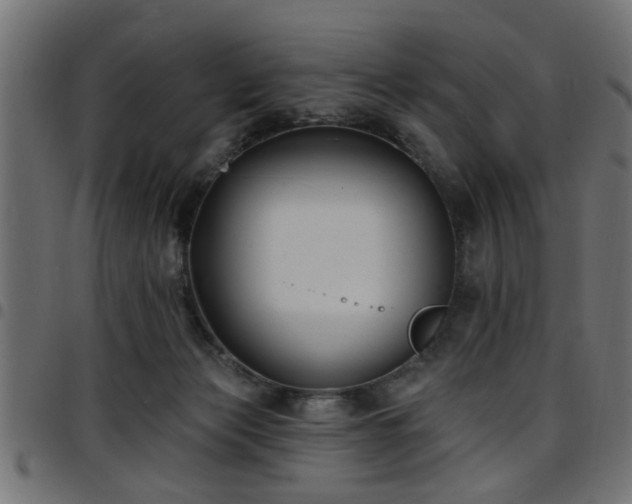 X0000097590173200803071329