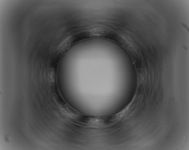 X0000097590174200803071329