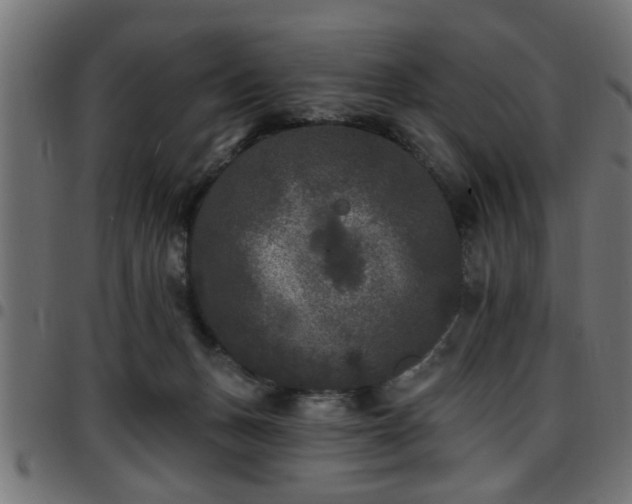 X0000097590175200803071329