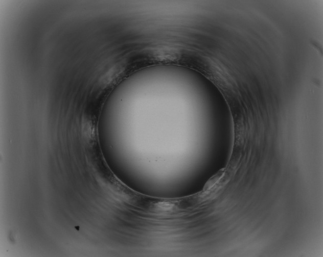 X0000097590176200803071329