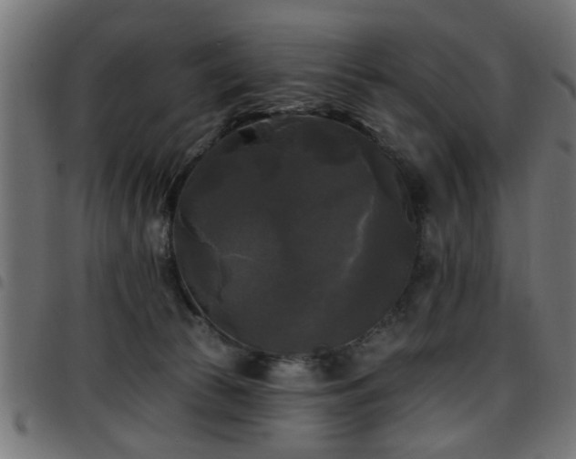 X0000097590177200803071329