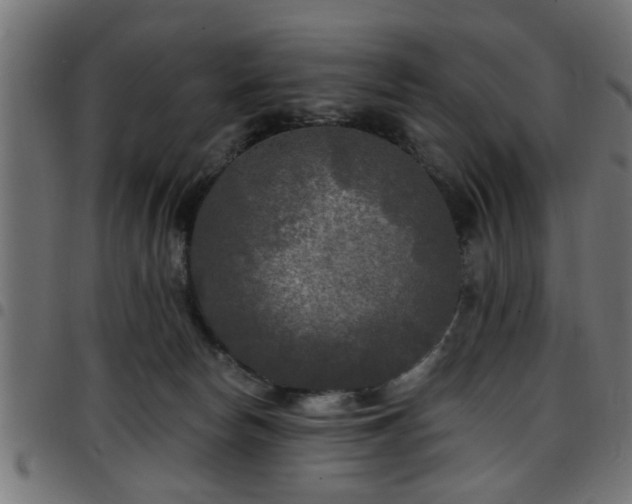 X0000097590178200803071329