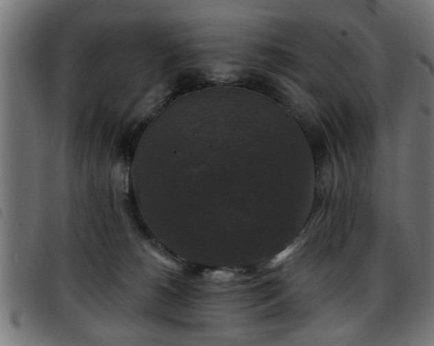 X0000097590180200803071329