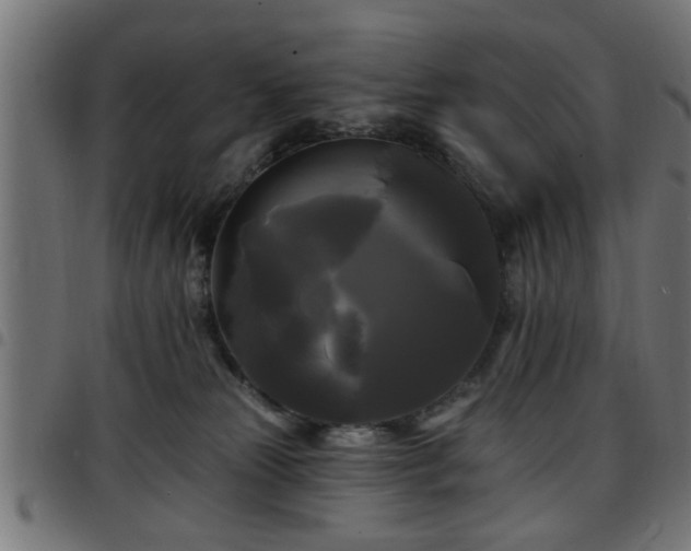 X0000097590181200803071329