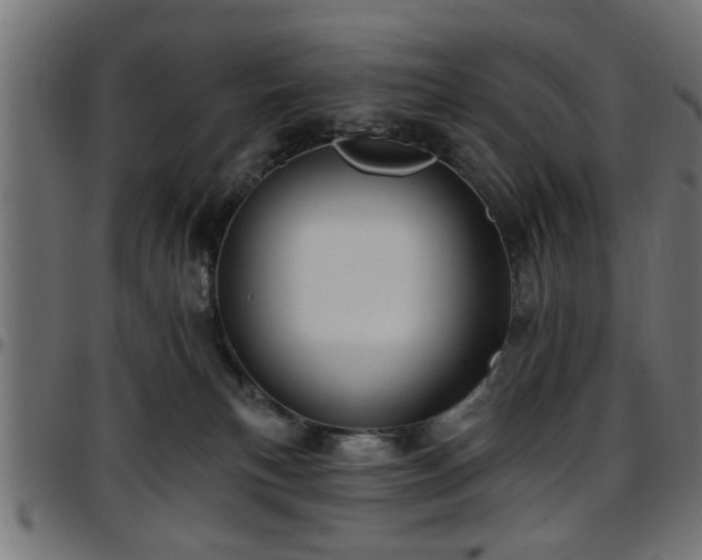 X0000097590183200803071329