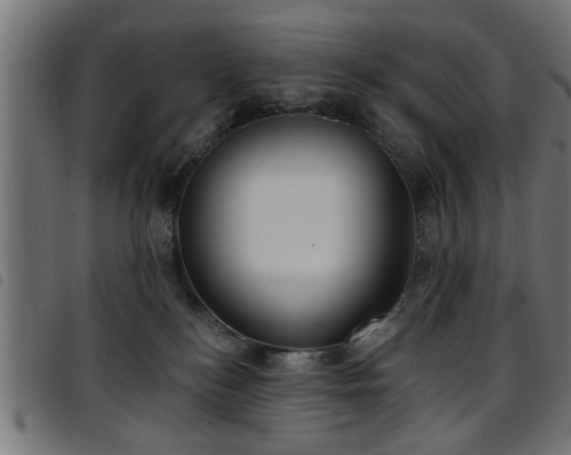 X0000097590184200803071329