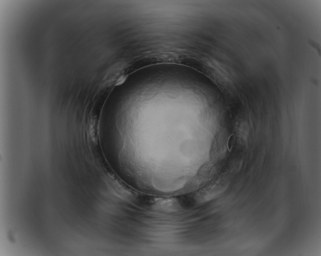 X0000097590185200803071329