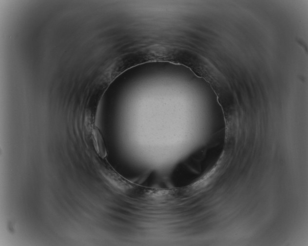 X0000097590186200803071329