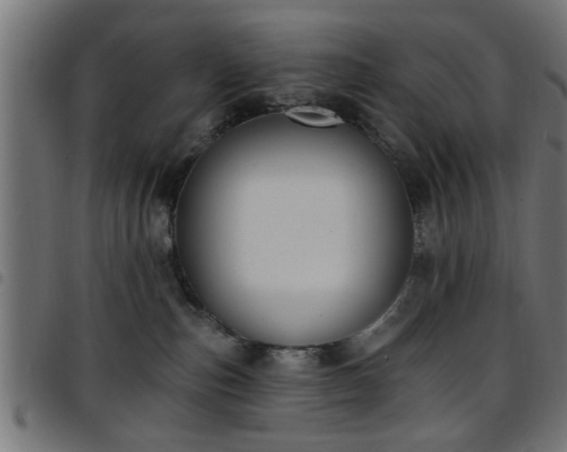 X0000097590187200803071329