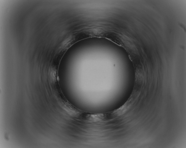 X0000097590188200803071329