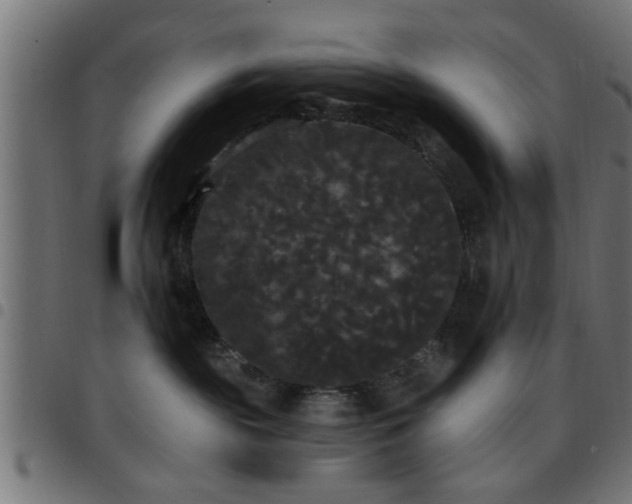 X0000097590189200803071329