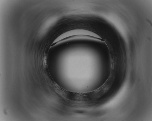 X0000097590190200803071329