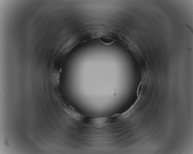 X0000097590191200803071329