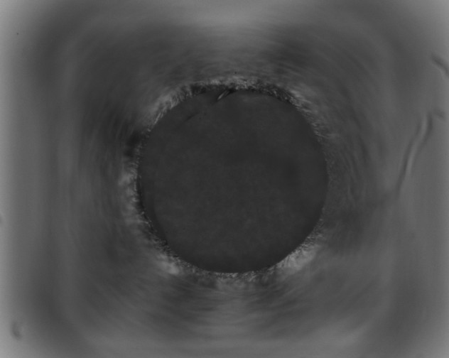 X0000097590192200803071329