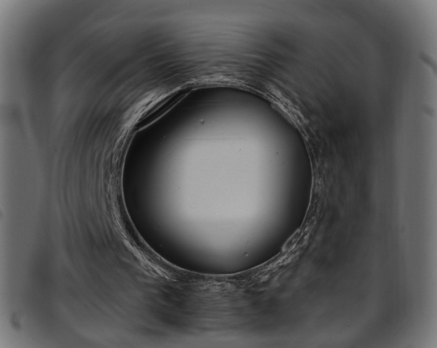 X0000097590193200803071328