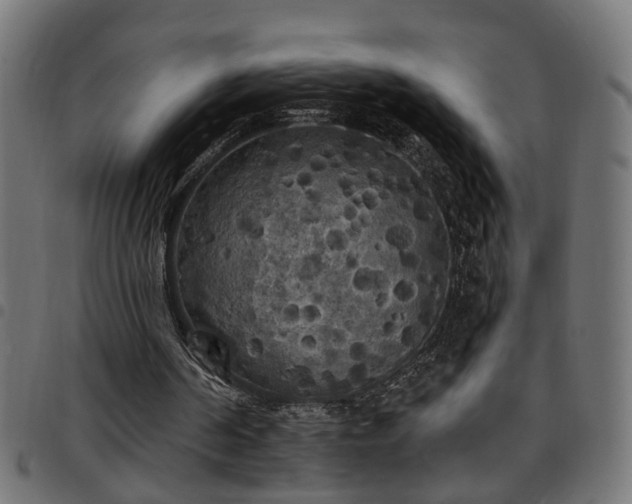 X0000097590194200803071328