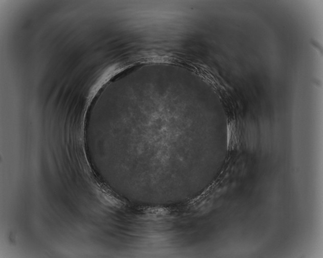 X0000097590195200803071328