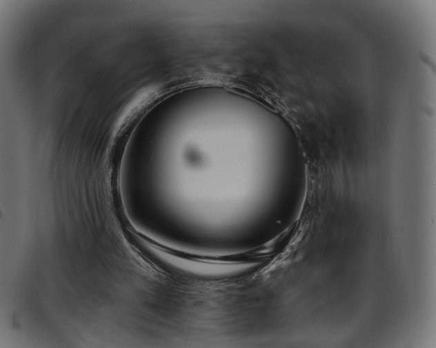 X0000097590197200803071328