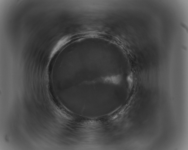 X0000097590198200803071328