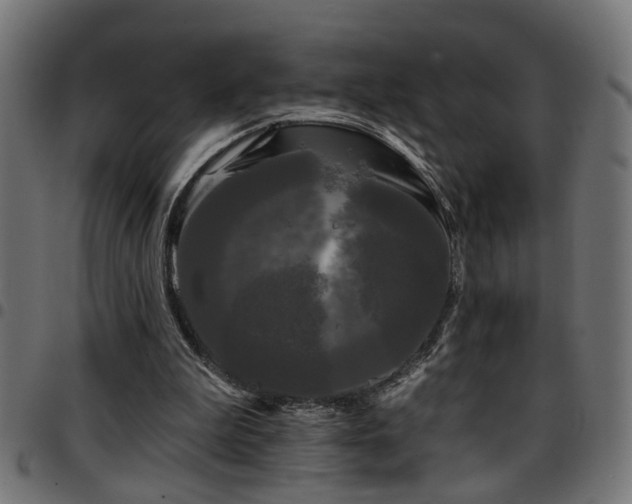 X0000097590199200803071328