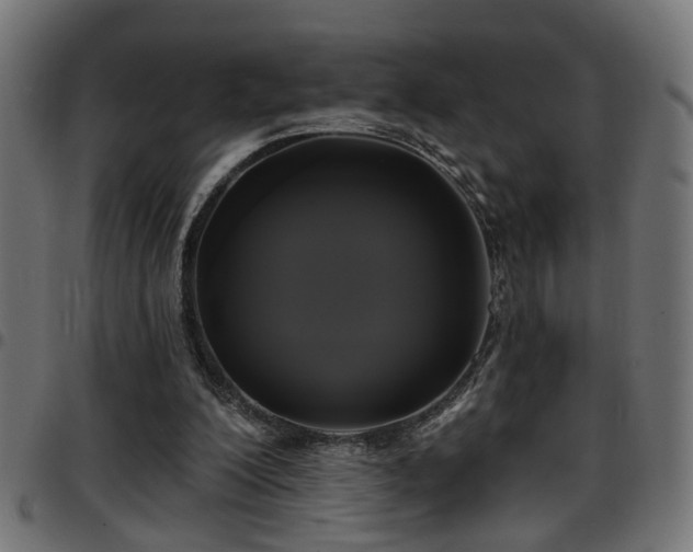 X0000097590200200803071328