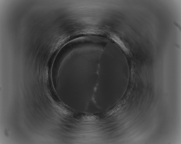 X0000097590202200803071328