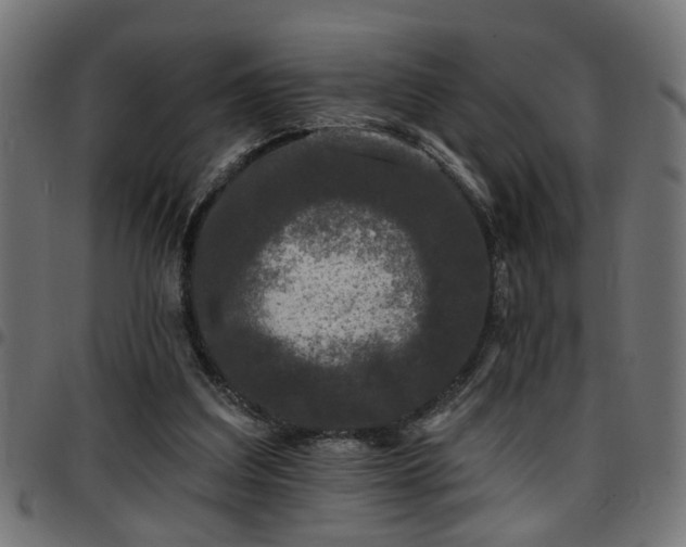 X0000097590203200803071328