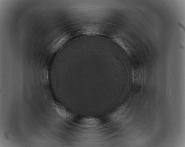 X0000097590205200803071328