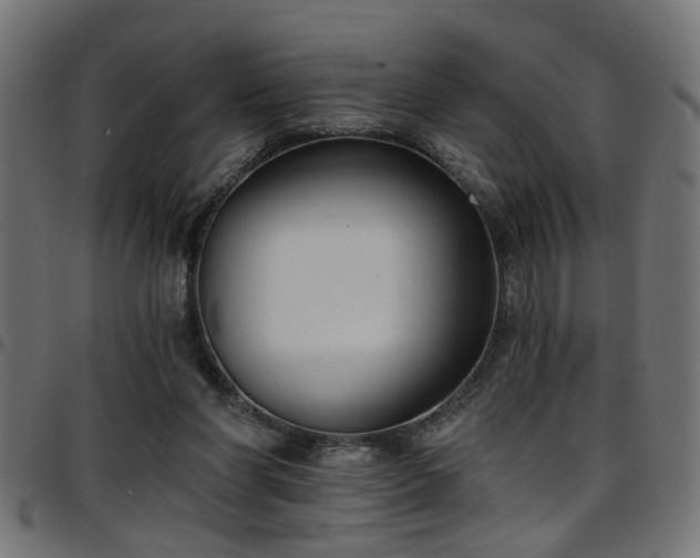 X0000097590206200803071328