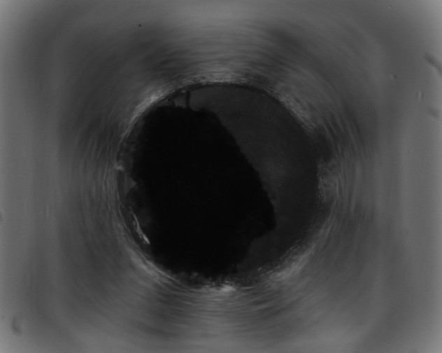 X0000097590207200803071328