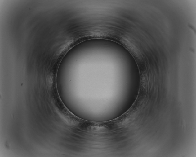 X0000097590208200803071328