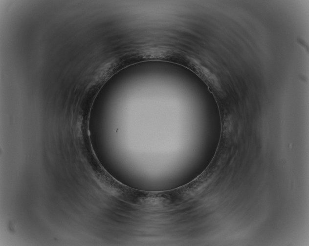 X0000097590209200803071328