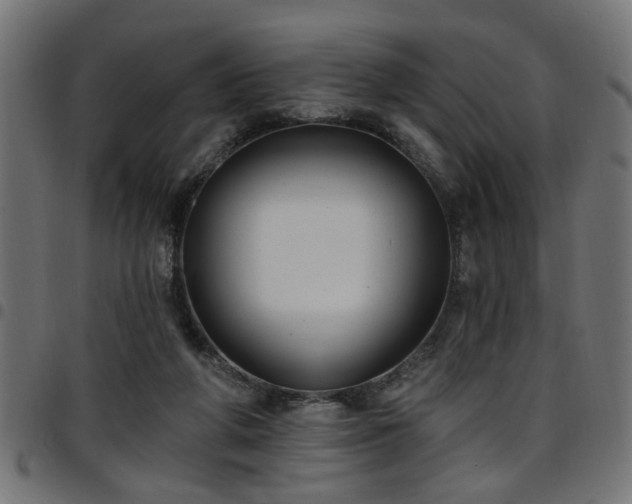 X0000097590210200803071328