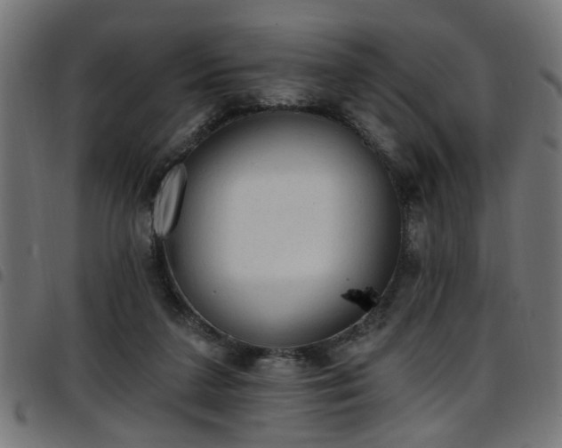 X0000097590211200803071328