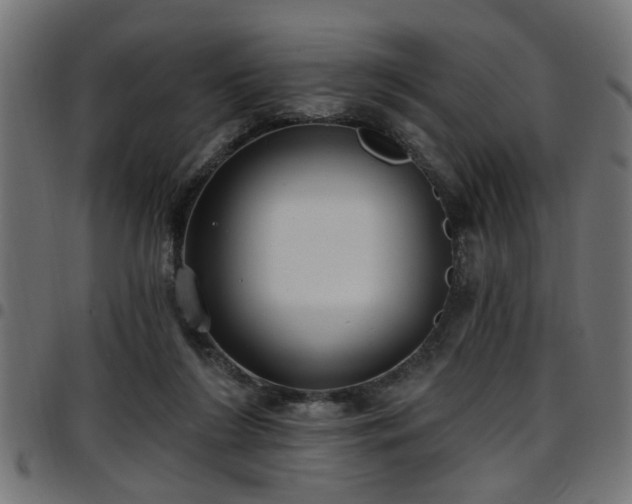 X0000097590212200803071328