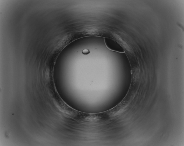 X0000097590213200803071328