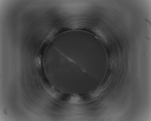 X0000097590214200803071328