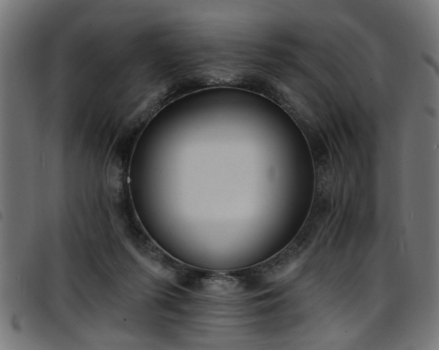 X0000097590215200803071328