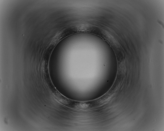 X0000097590217200803071328