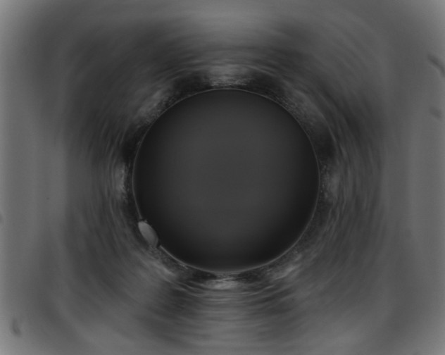 X0000097590219200803071328