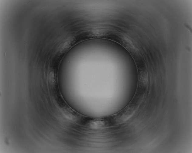 X0000097590220200803071328