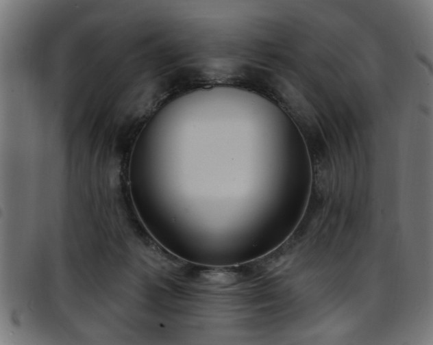 X0000097590221200803071328