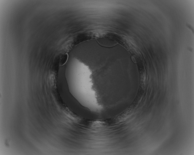 X0000097590222200803071328