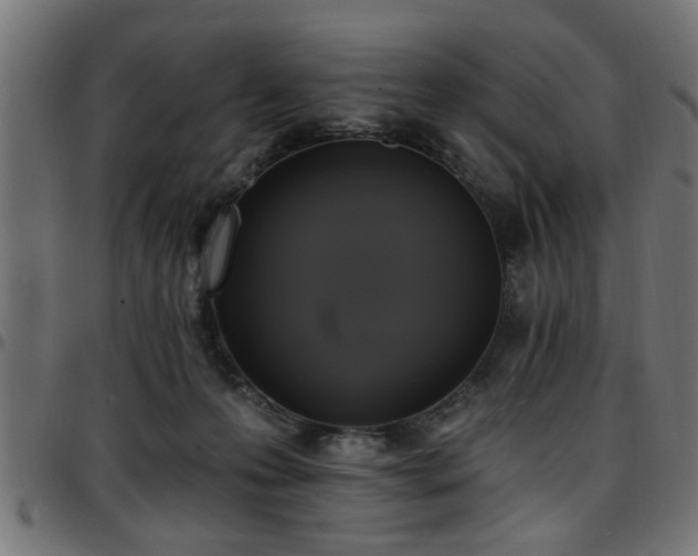 X0000097590223200803071328