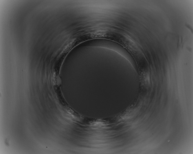 X0000097590224200803071328