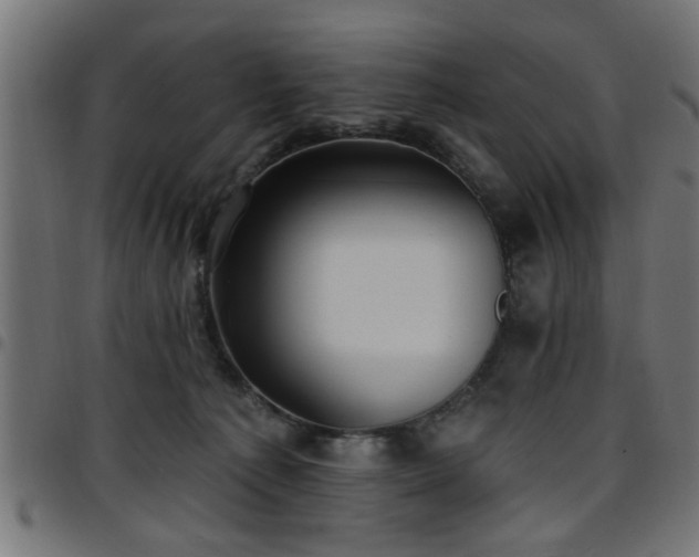 X0000097590225200803071328