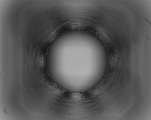 X0000097590226200803071328